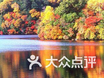 丸美股份:眼部护理龙头,多品牌战略促成长