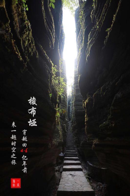 万词王