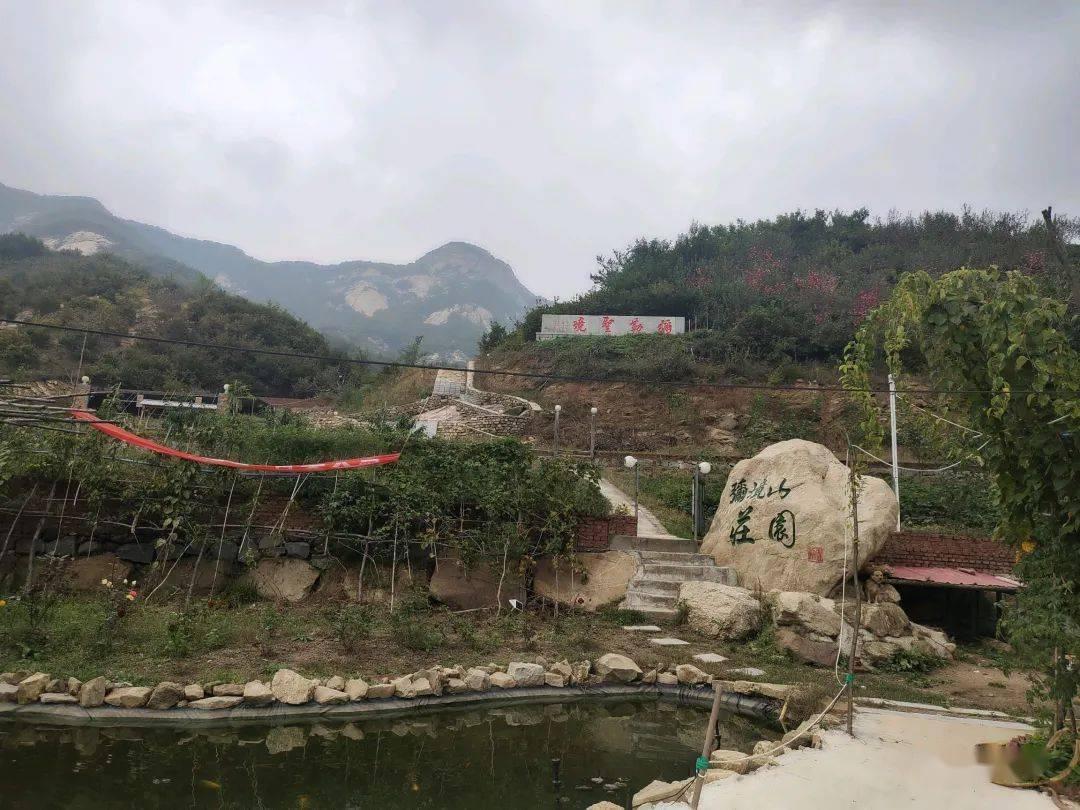 探讨交流,尽在我35周岁,适合买什么保险!