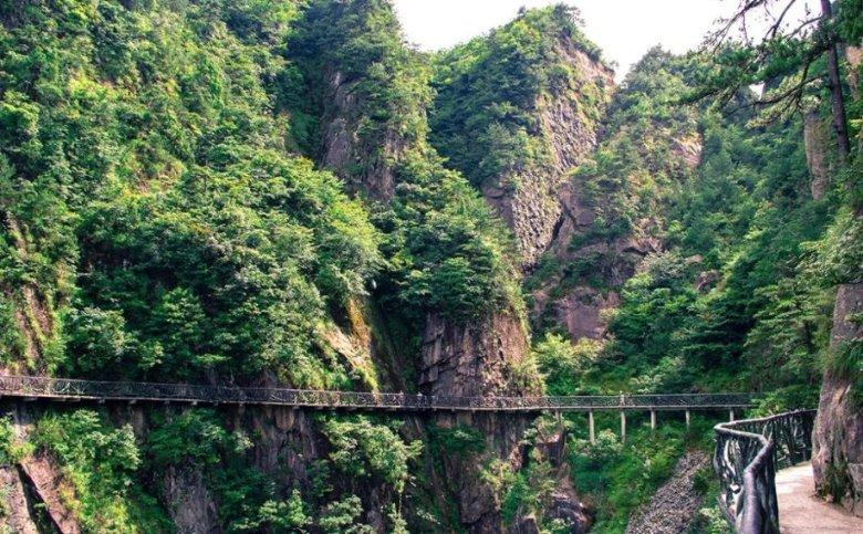 防控面积13.7万亩
