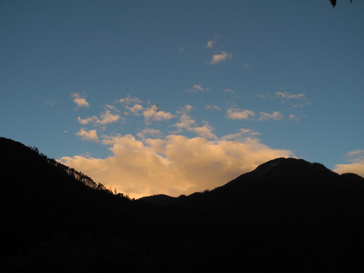 春雨直播app