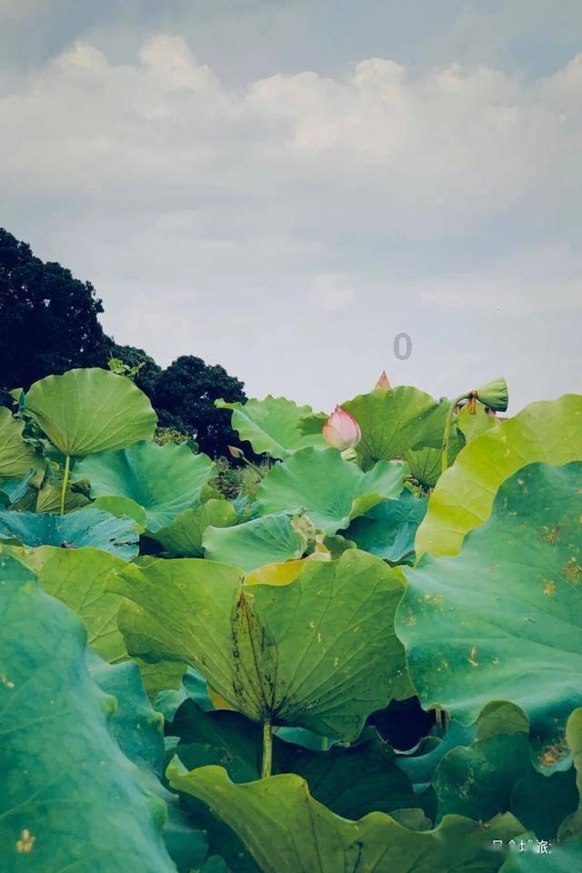 探索神秘小屋4