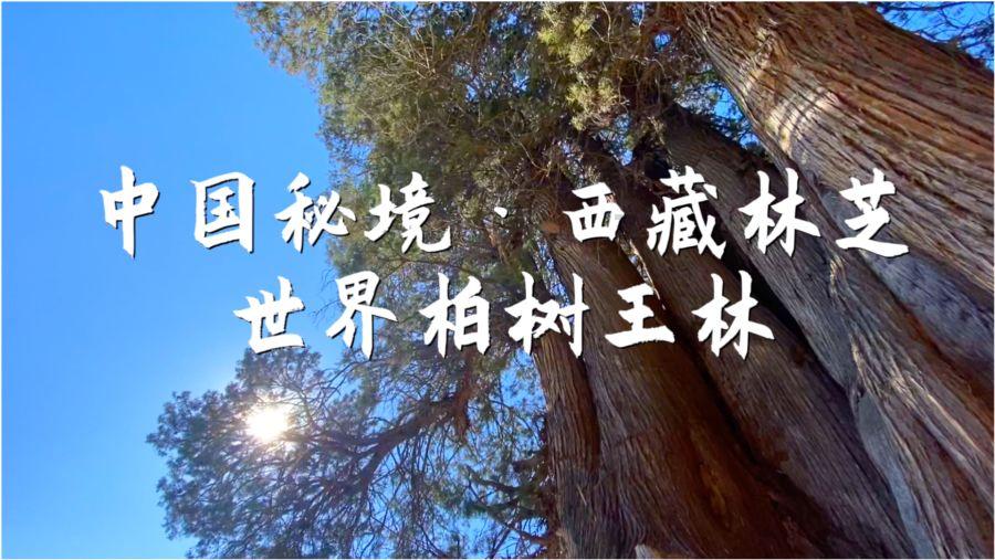 渡仙引
