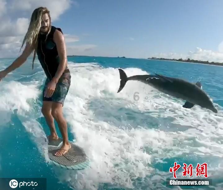 逗小猴开心系列202