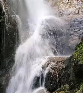 迷雾求生