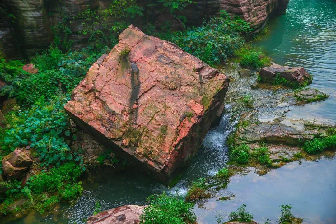 “天河模式”上新 又添两教育集团
