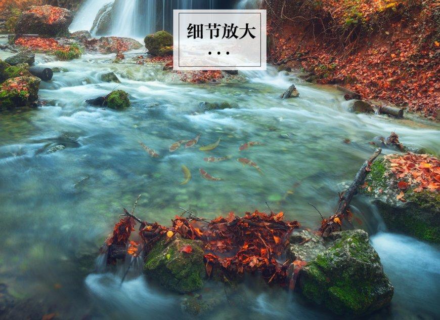 两会声音|搭建输送项目建设人才平台