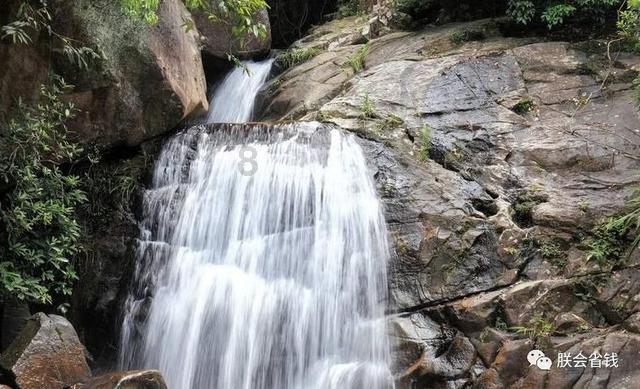 葡萄牙裔归化球员重返山东泰山：战斗力补充还是定时炸弹？