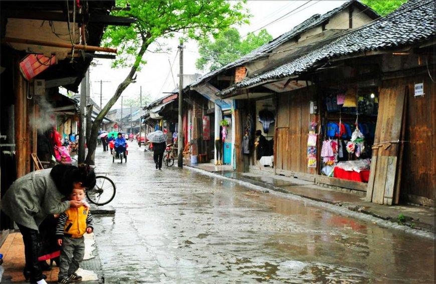 常用“黄芪”泡水喝,过段时间,这4个“问题”或许能得到改善