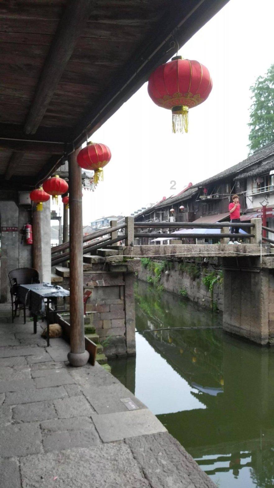 奔跑的兔子