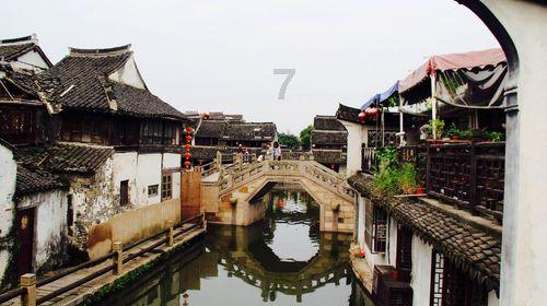硕大的苹果