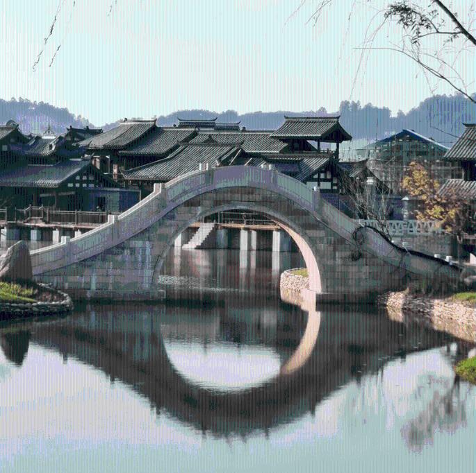 森系丛林
